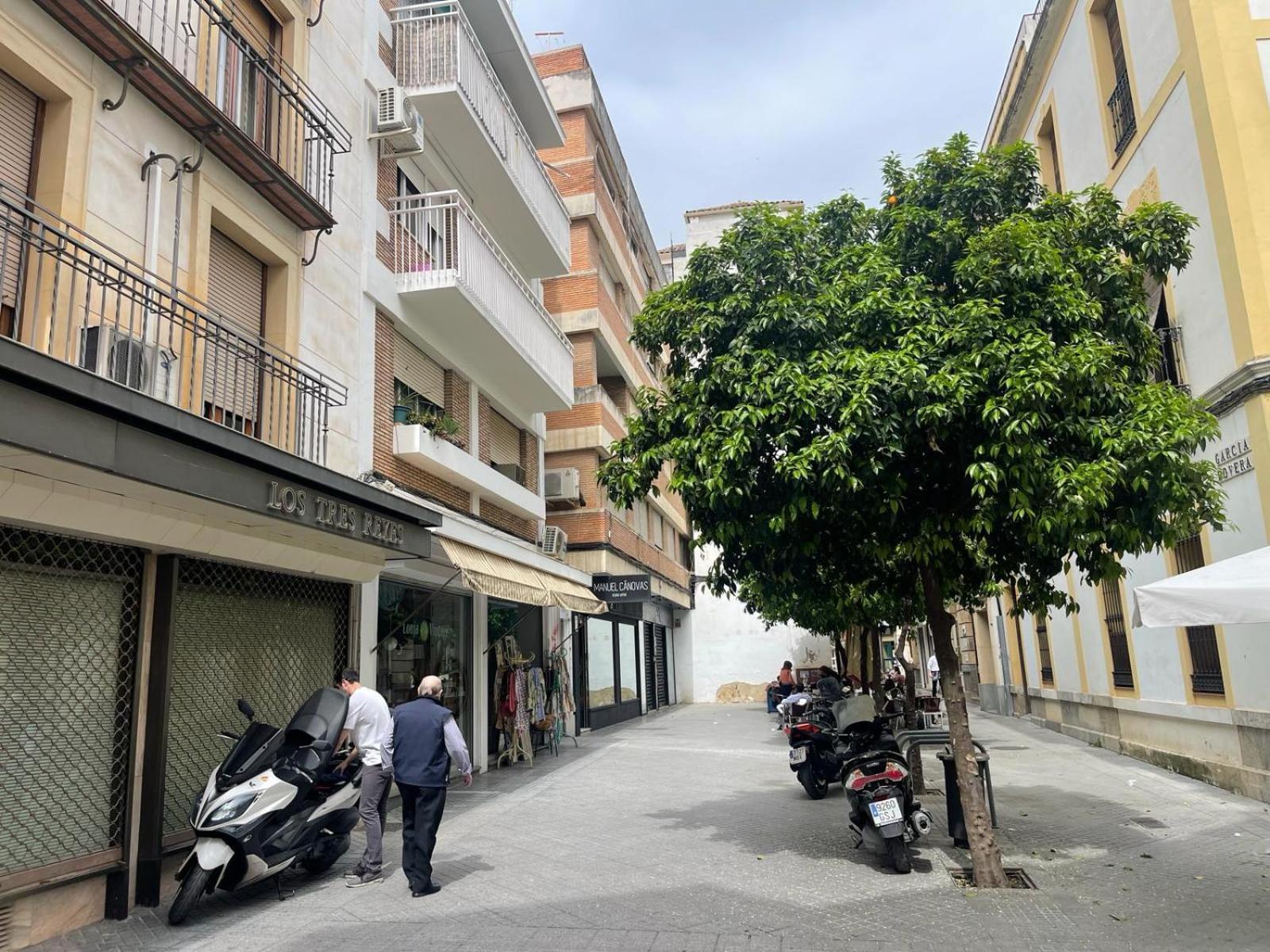 Apartamento Azonaicas Centro Tendillas Córdoba Exterior foto